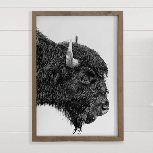 Bison Portrait