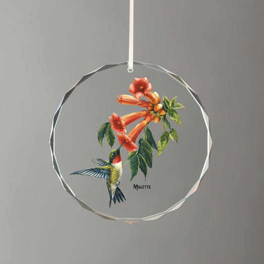 Ruby-throated Hummingbird Glass Ornament