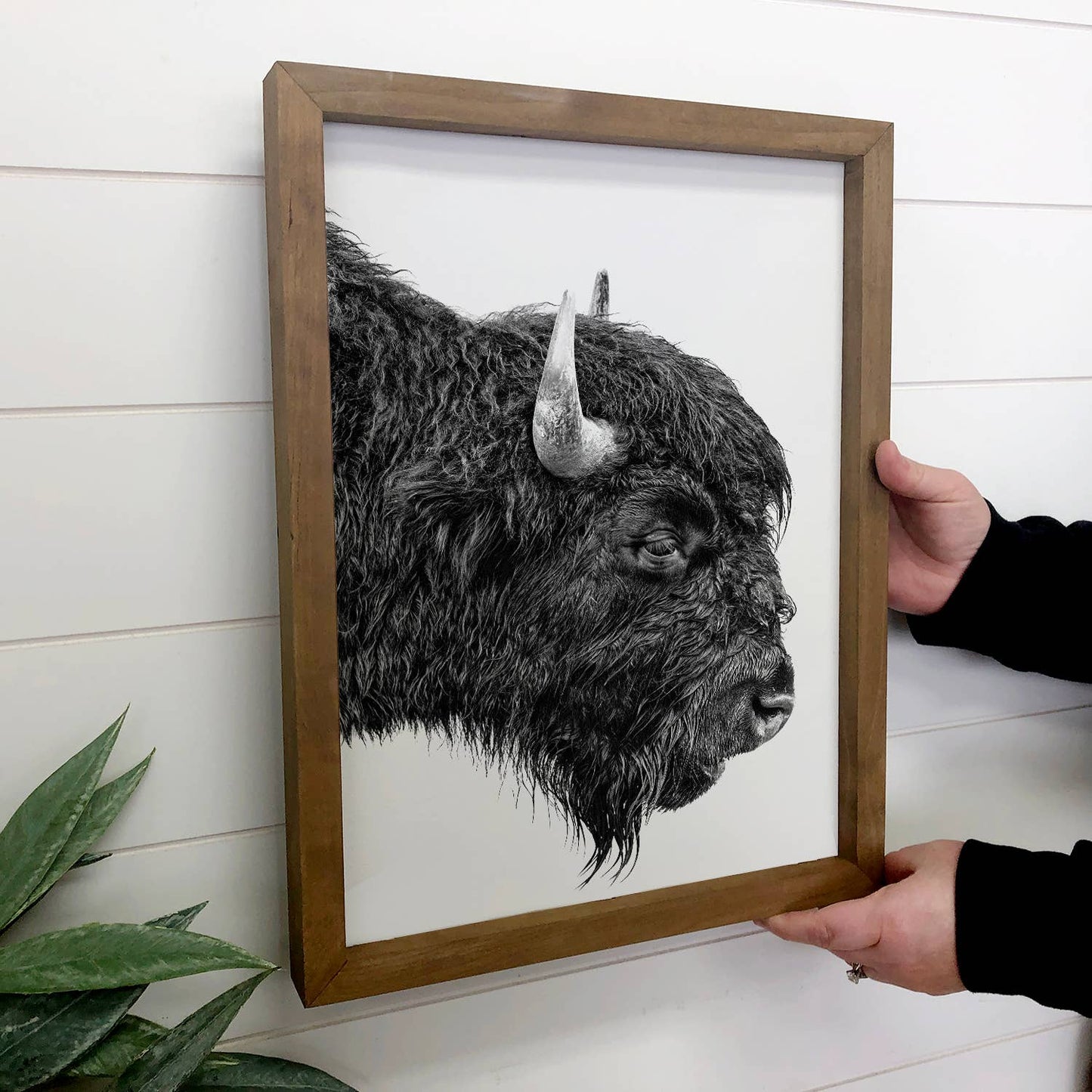 Bison Portrait
