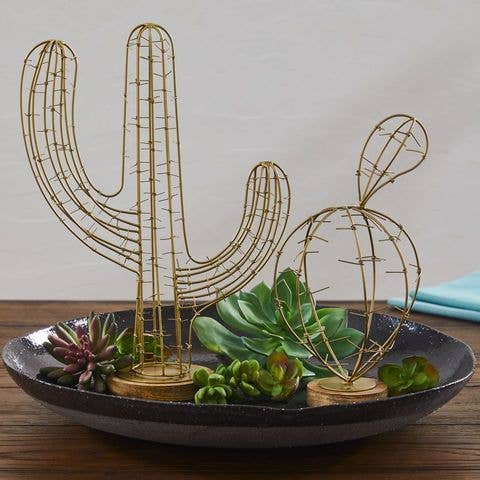 Small Cactus