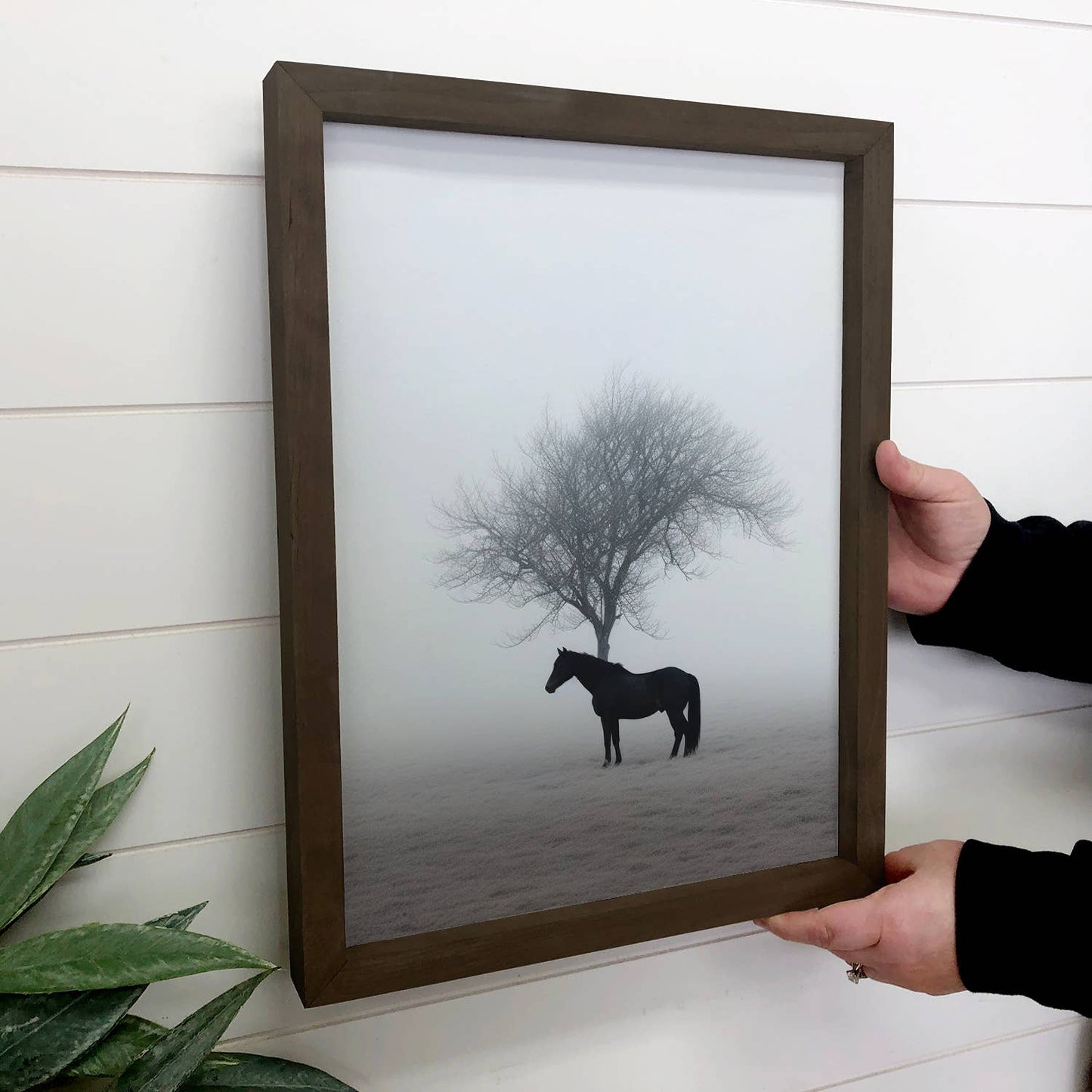 Lone Horse