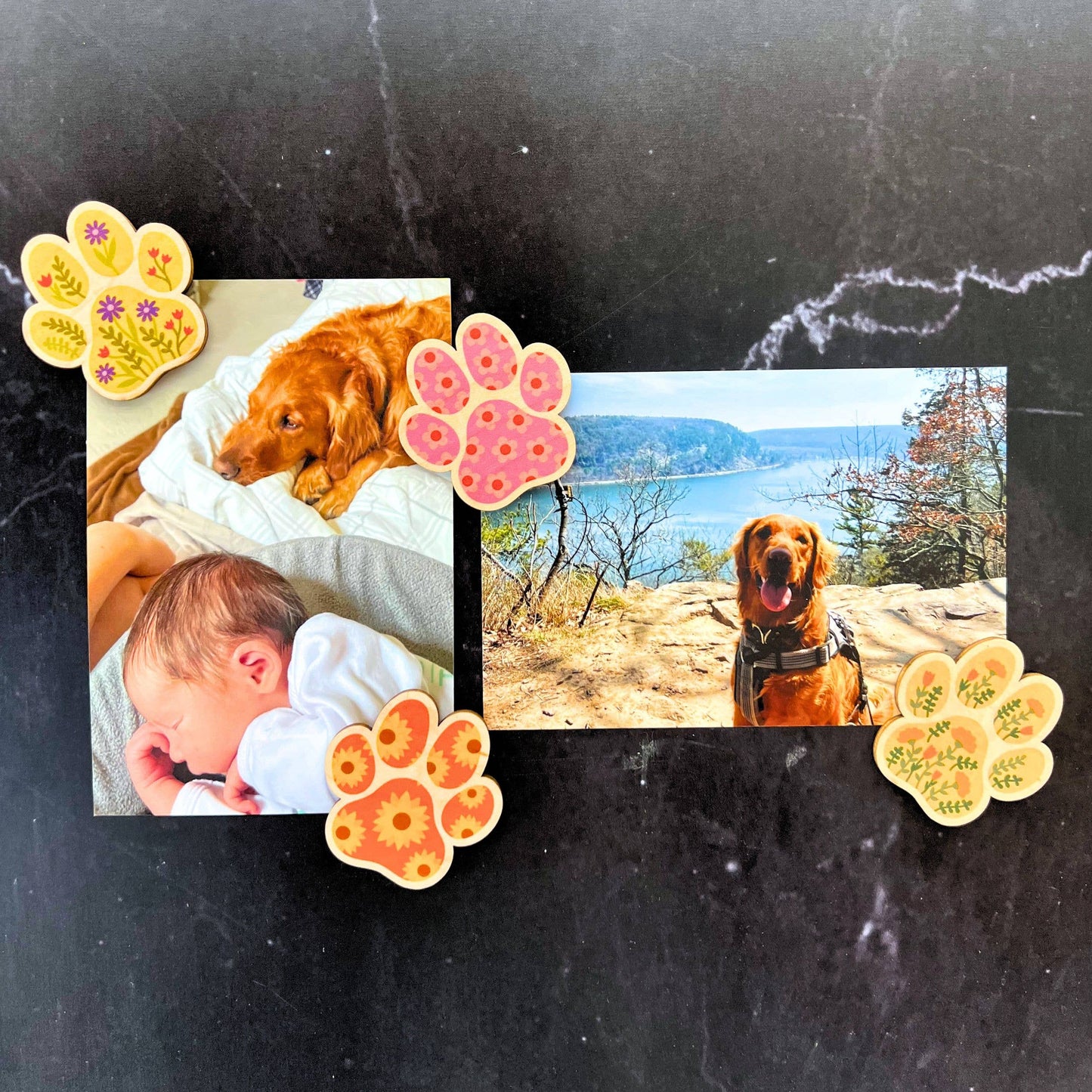 Flower Dog Paw Print Magnet Set