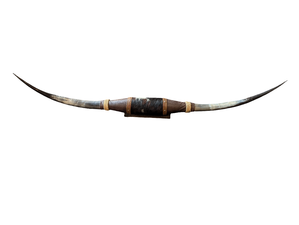 Mounted Horns