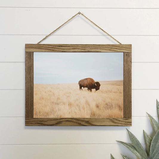 Lone Buffalo Canvas