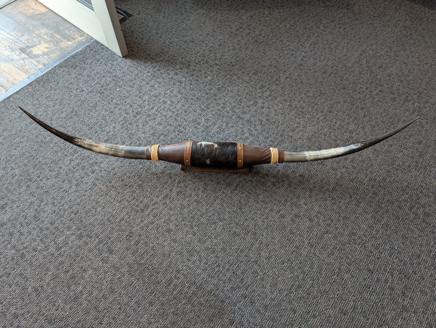 Mounted Horns