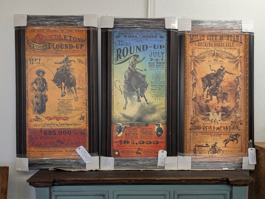 Rodeo Posters
