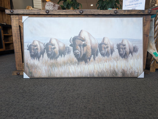 Buffalo Herd